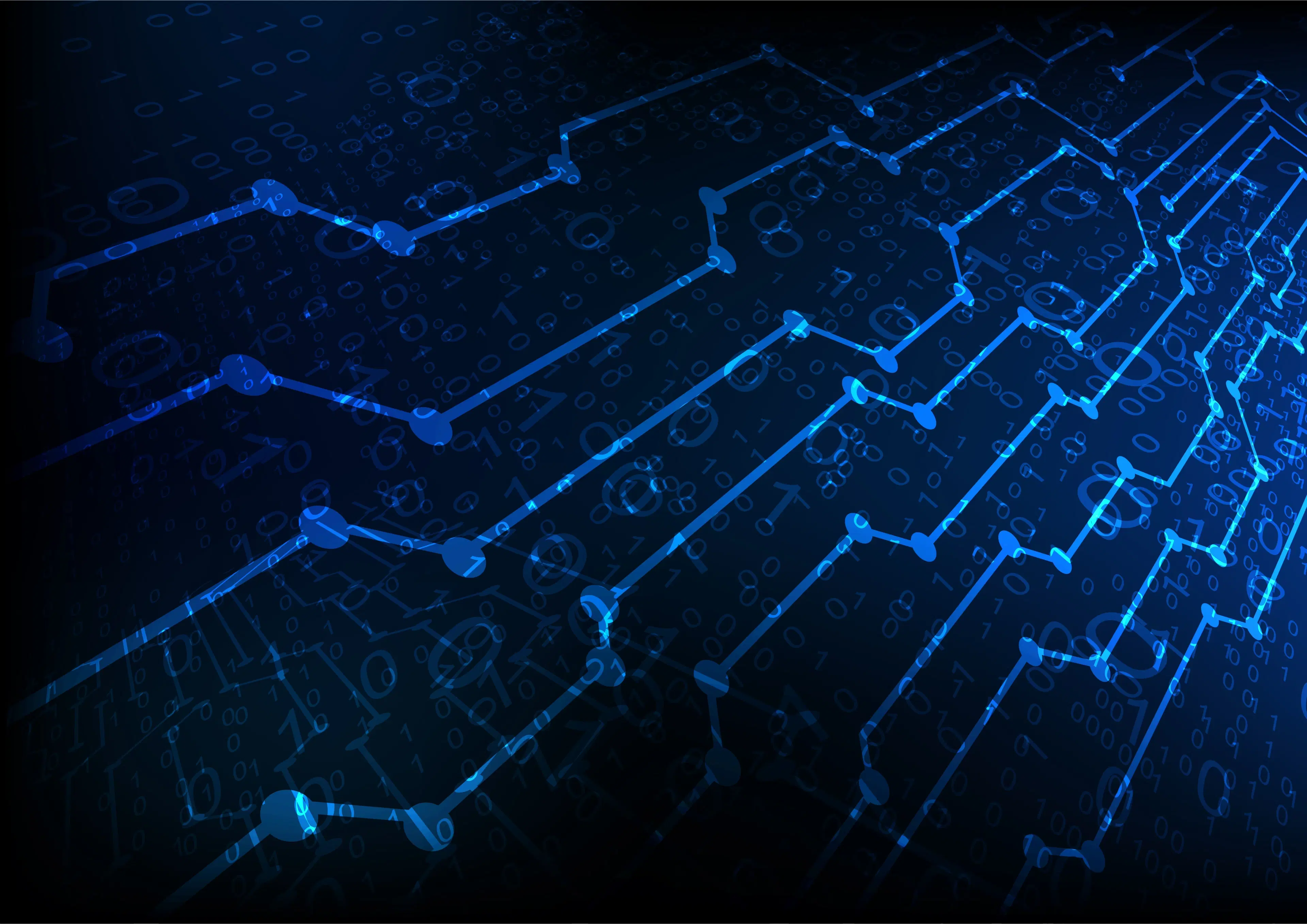 Digital network representation